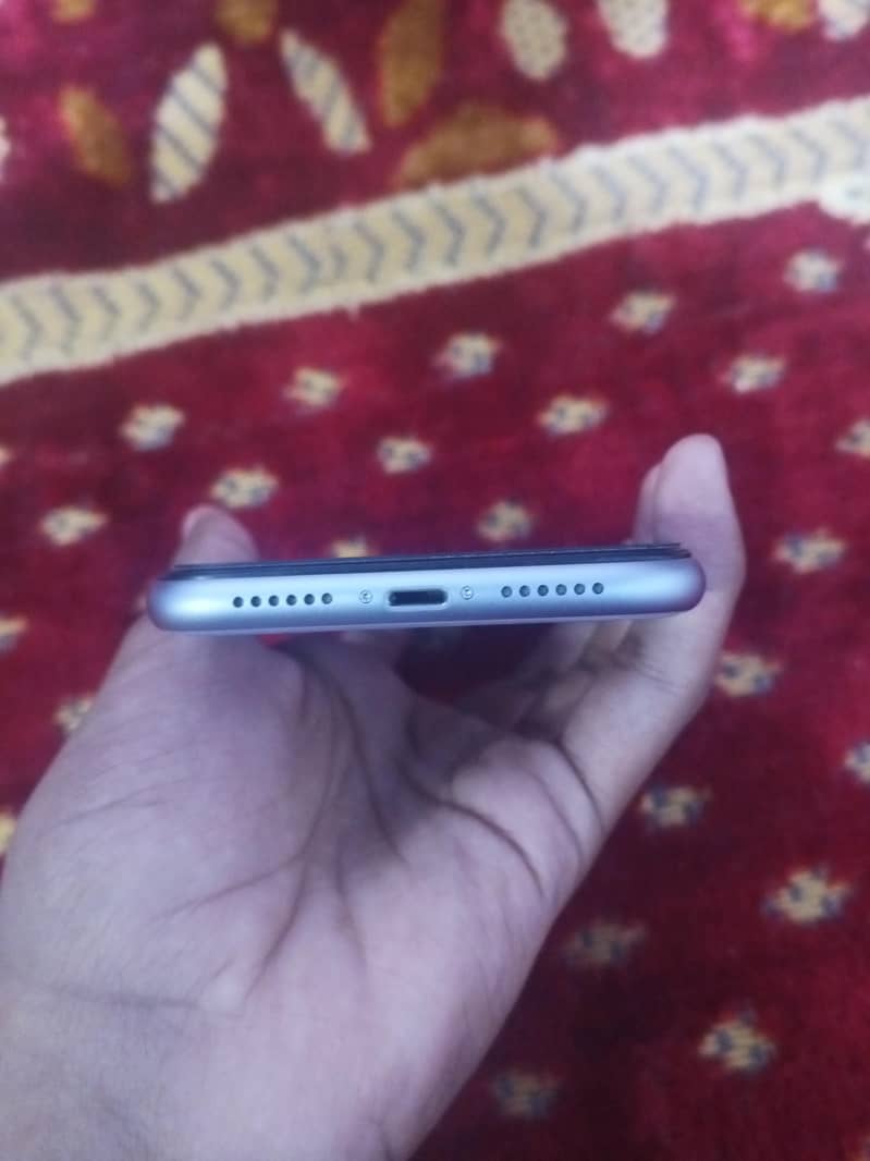 Apple iPhone 11 3