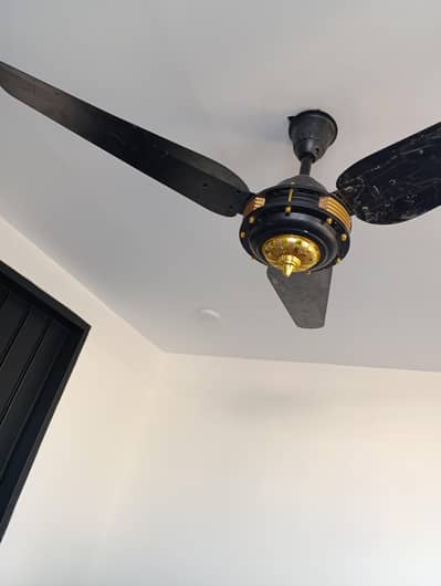Ceiling Fan