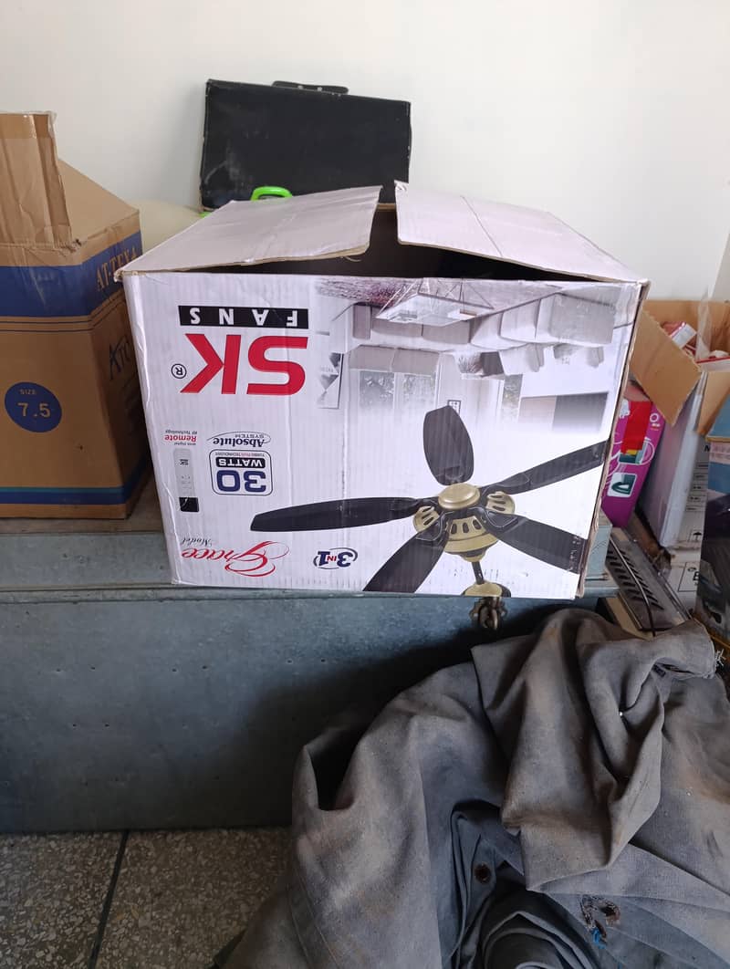 Ceiling Fan 2