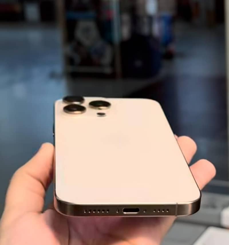 Apple iPhone 16 Pro Max 1