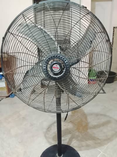 ROYAL FAN