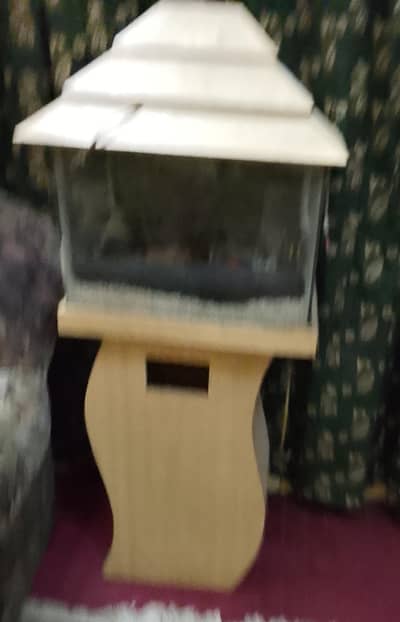 fish aquarium for sale