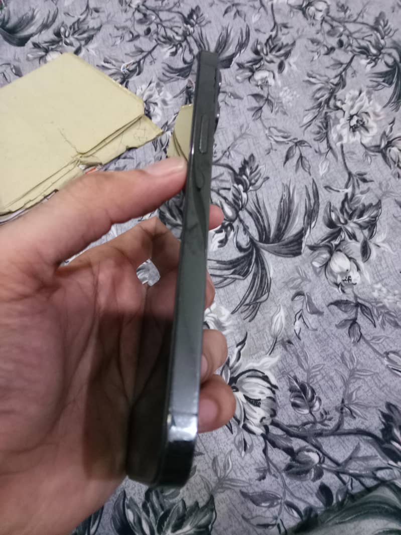 Apple iPhone 13 Pro Max 1