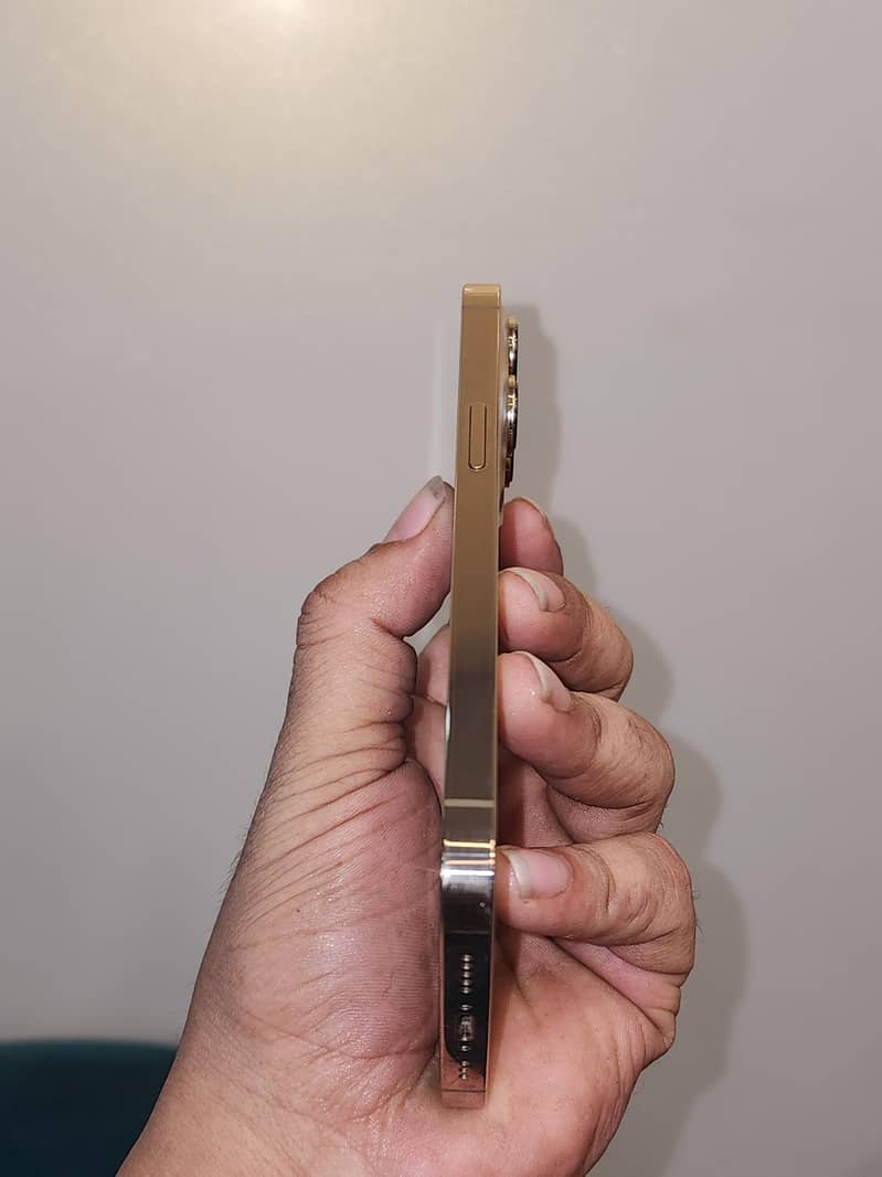 Apple iPhone 13 Pro 1