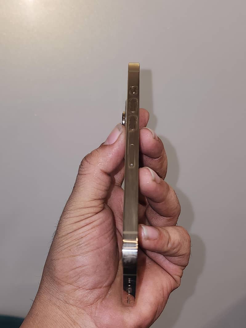 Apple iPhone 13 Pro 2
