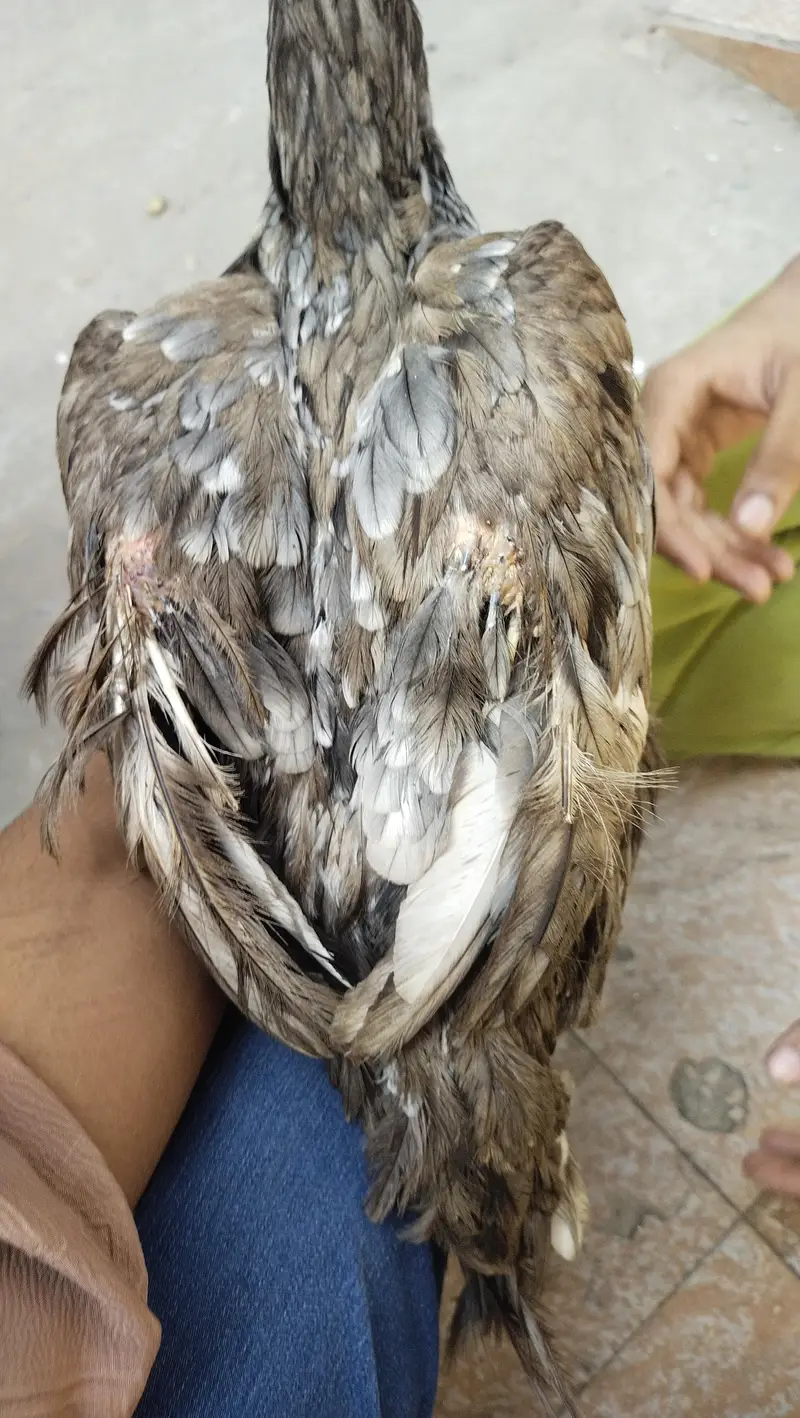 sleta madi — photo 3