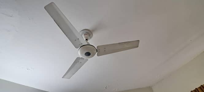 2x Royal Ceiling Fans For Sale