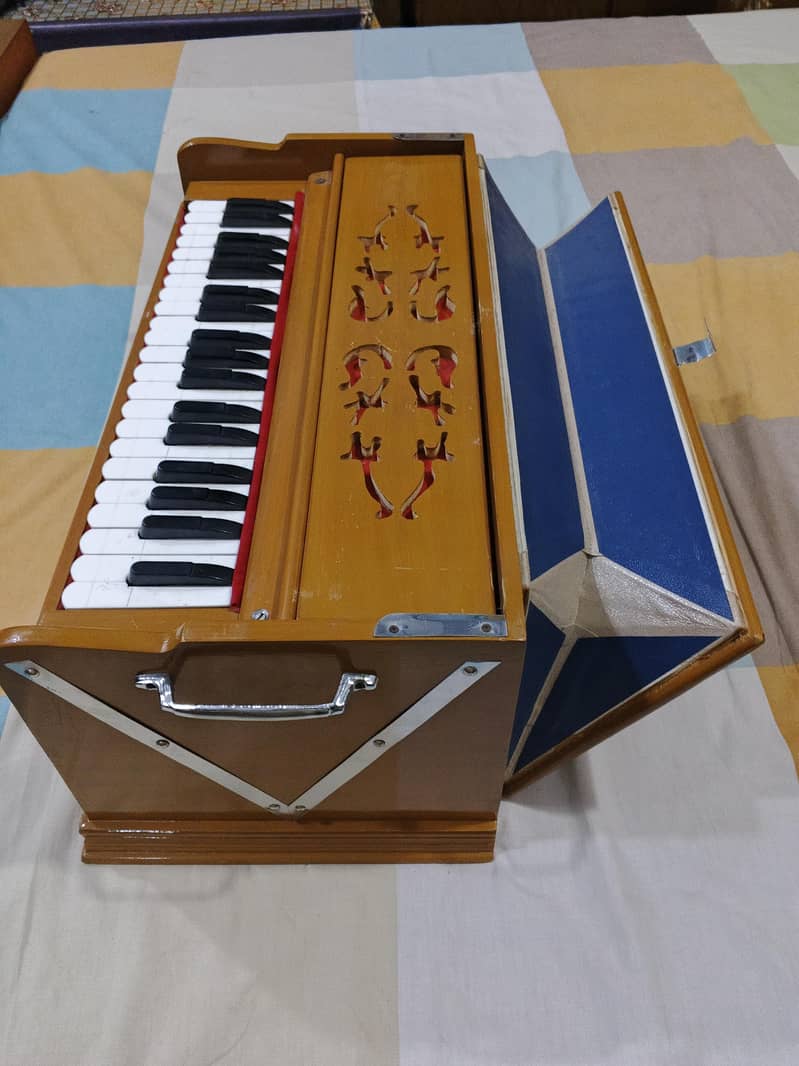 Indian Harmonium 2