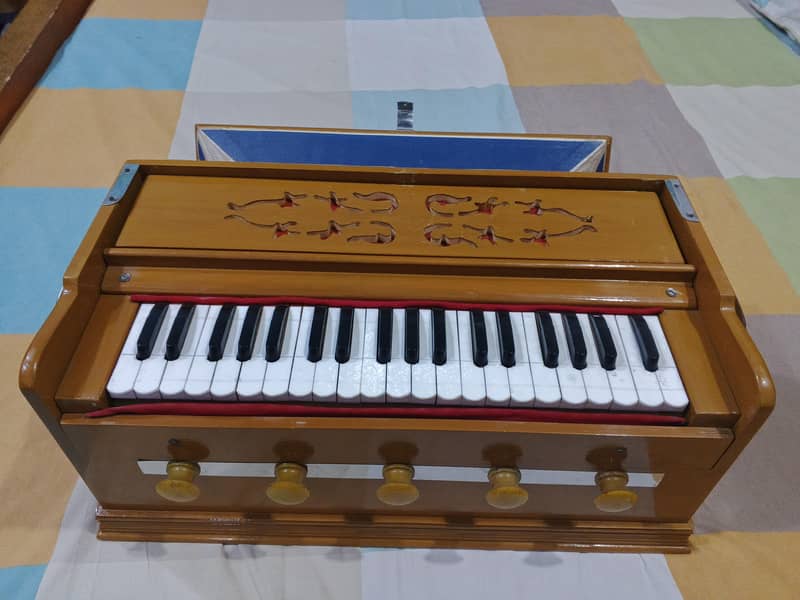 Indian Harmonium 3