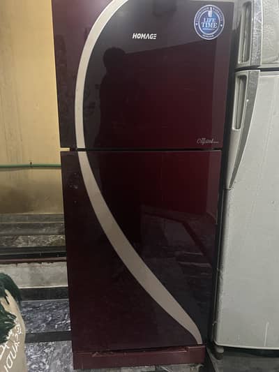 Homage Glass Door