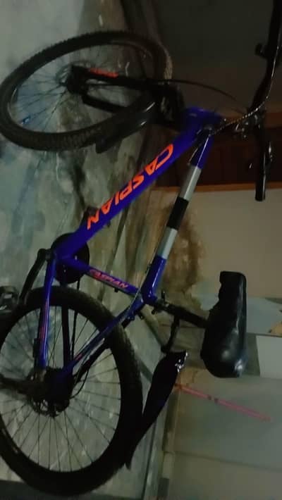 mountain bike