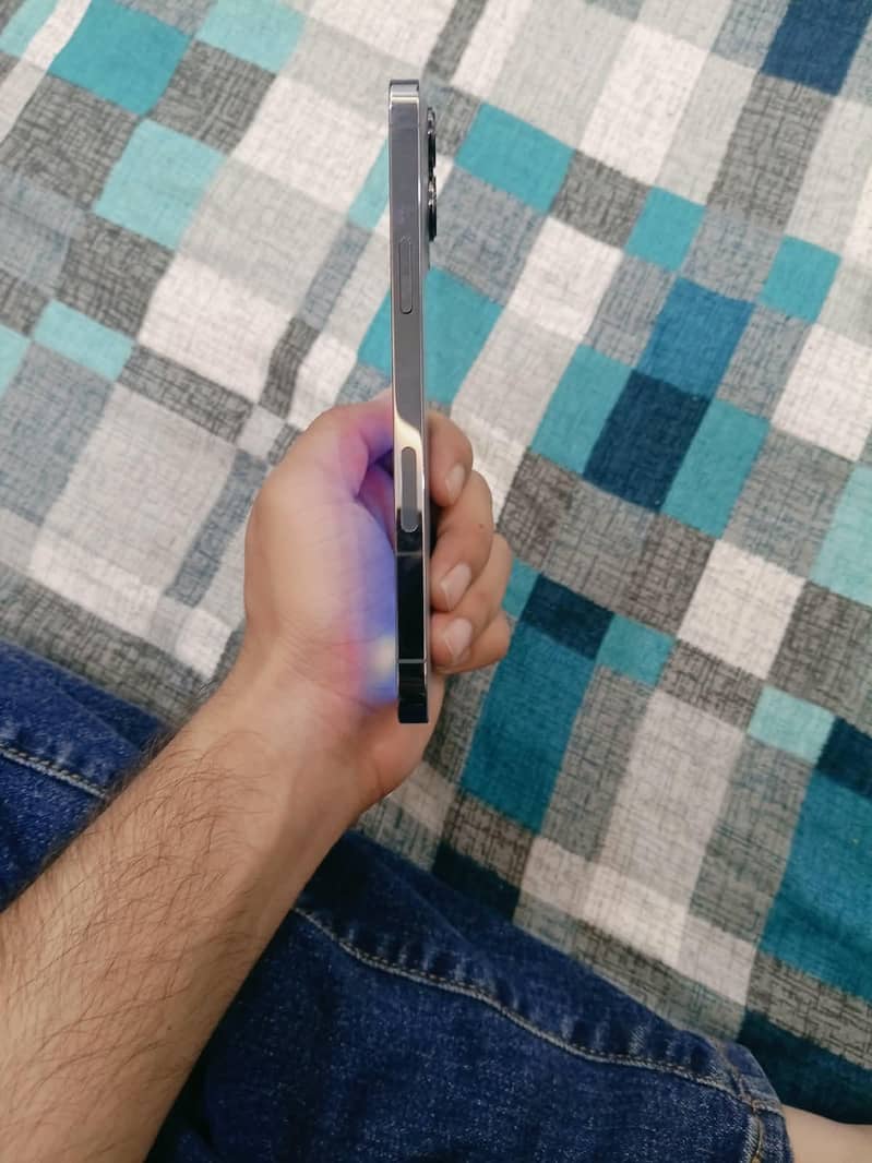 Apple iPhone 13 Pro max 2