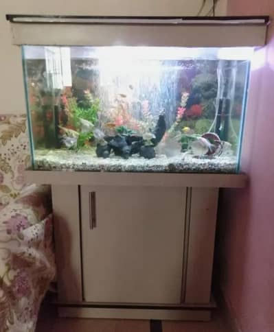 Fish Aquarium with Stand and All Accessories For Sale