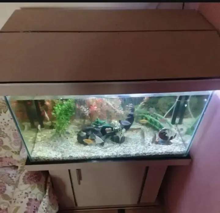 Fish Aquarium with Stand and All Accessories For Sale — photo 2