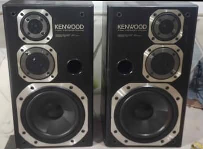 Kenwood Roxy DG3 200mm woofer