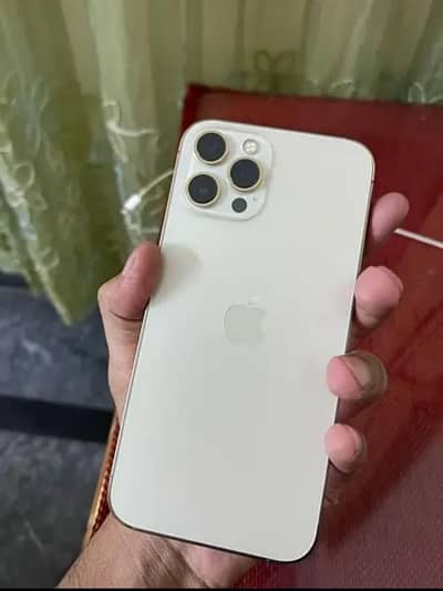 Apple iPhone 12 Pro Max