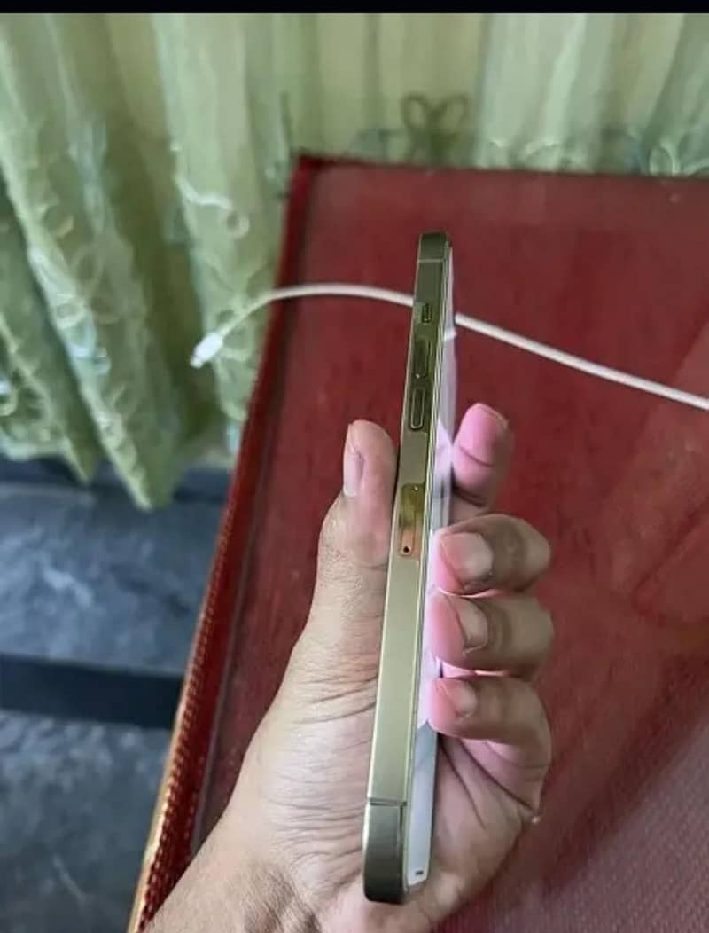 Apple iPhone 12 Pro Max 2