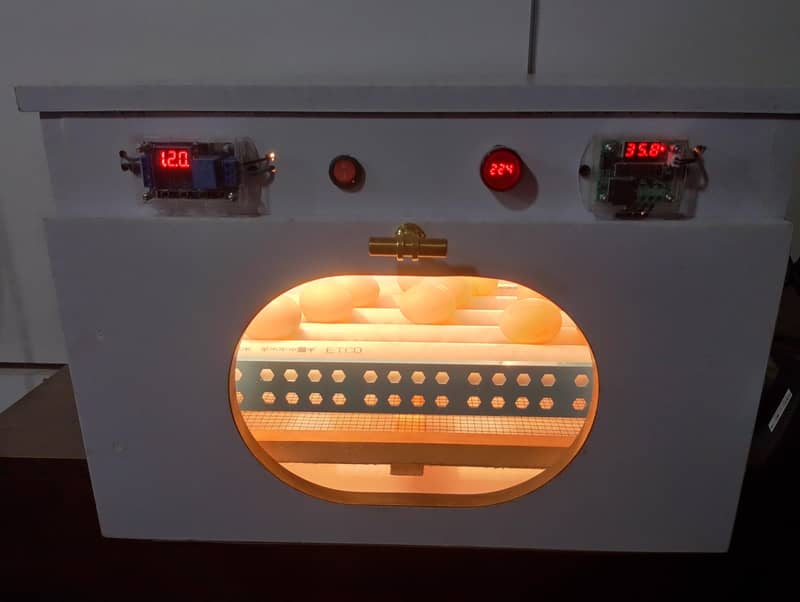 80 eggs automatic incubator 2