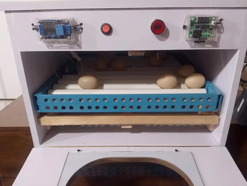 80 eggs automatic incubator — photo 5