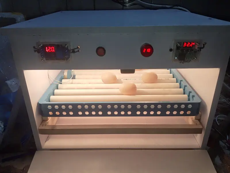 80 eggs automatic incubator — photo 7