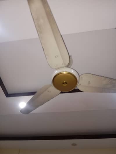 Ceiling fan