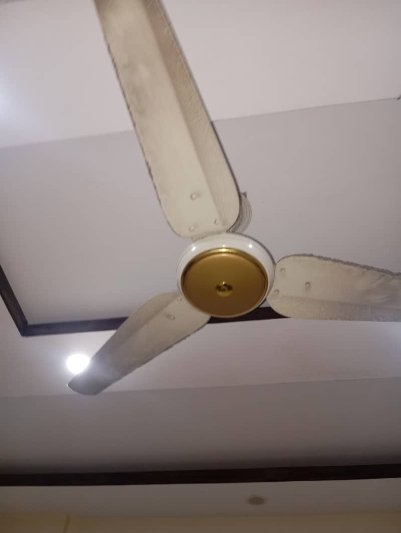 Ceiling fan 1