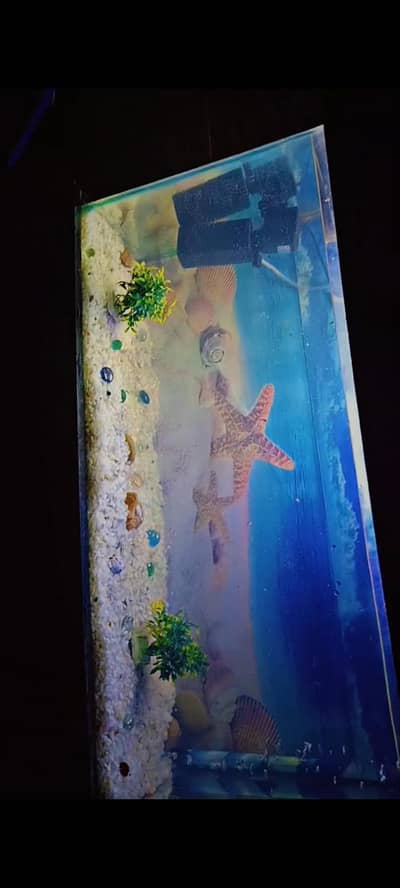 AQUARIUM BIG SIZE TABLE