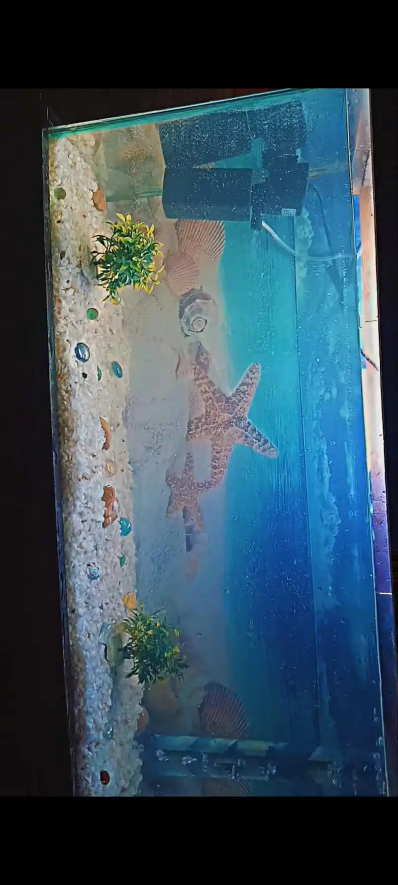 AQUARIUM BIG SIZE TABLE — photo 3