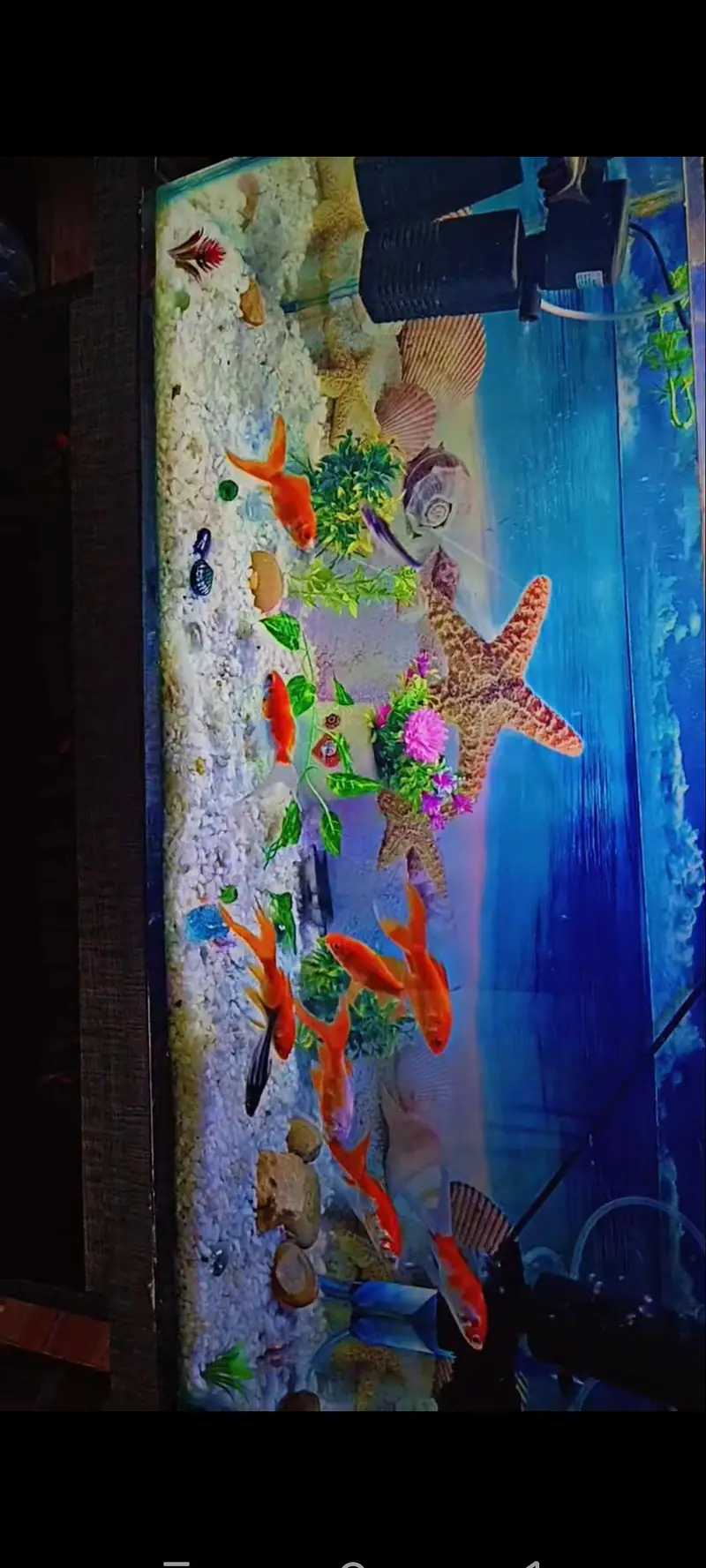 AQUARIUM BIG SIZE TABLE — photo 4