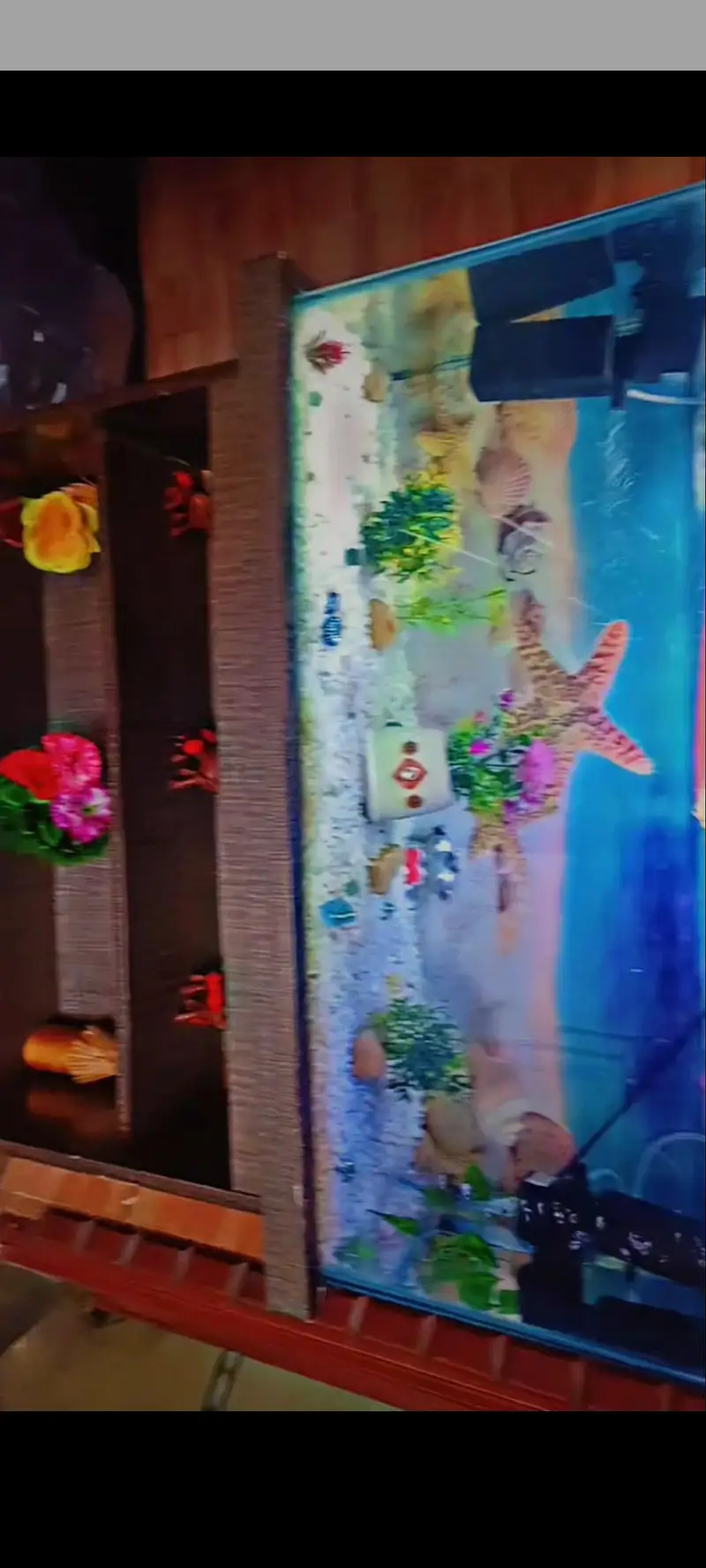 AQUARIUM BIG SIZE TABLE — photo 5