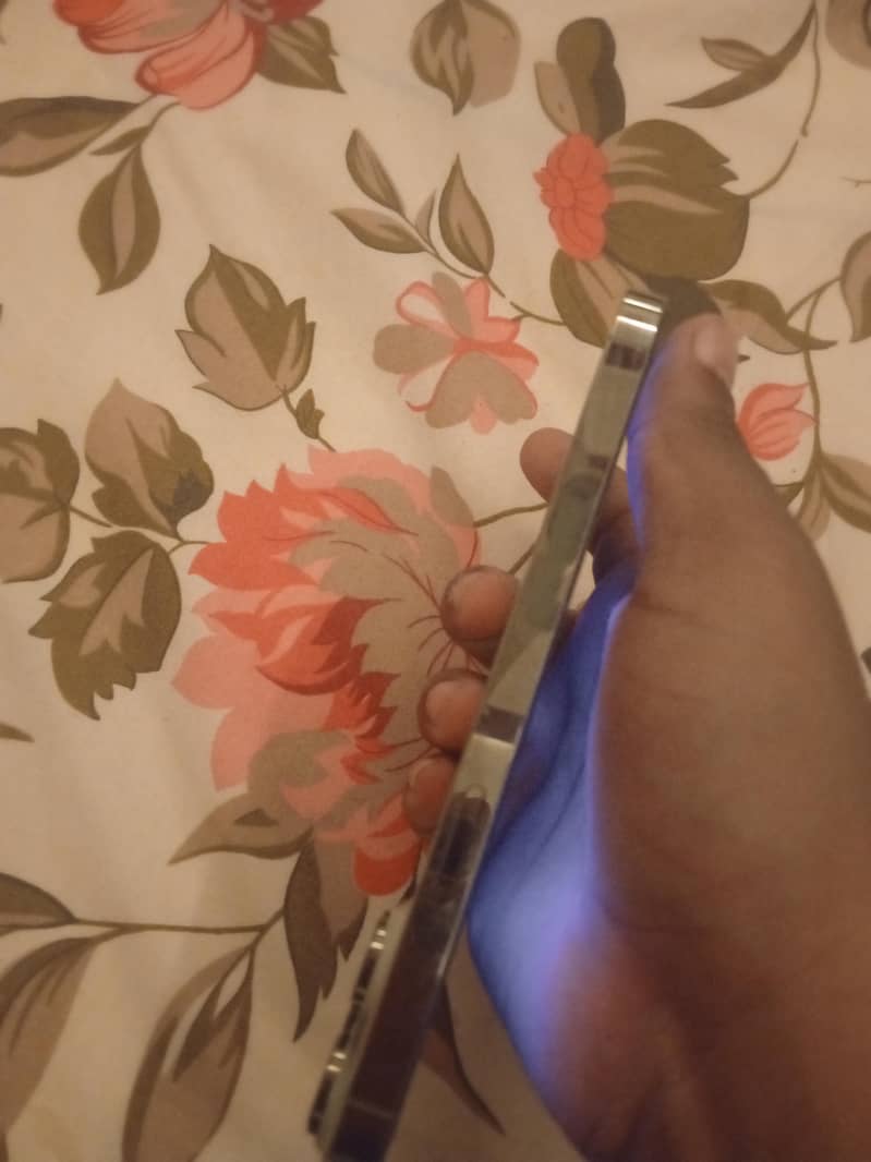Apple iPhone 14 Pro Max 2