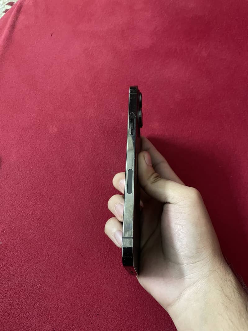 Apple iPhone 13 Pro Max 2