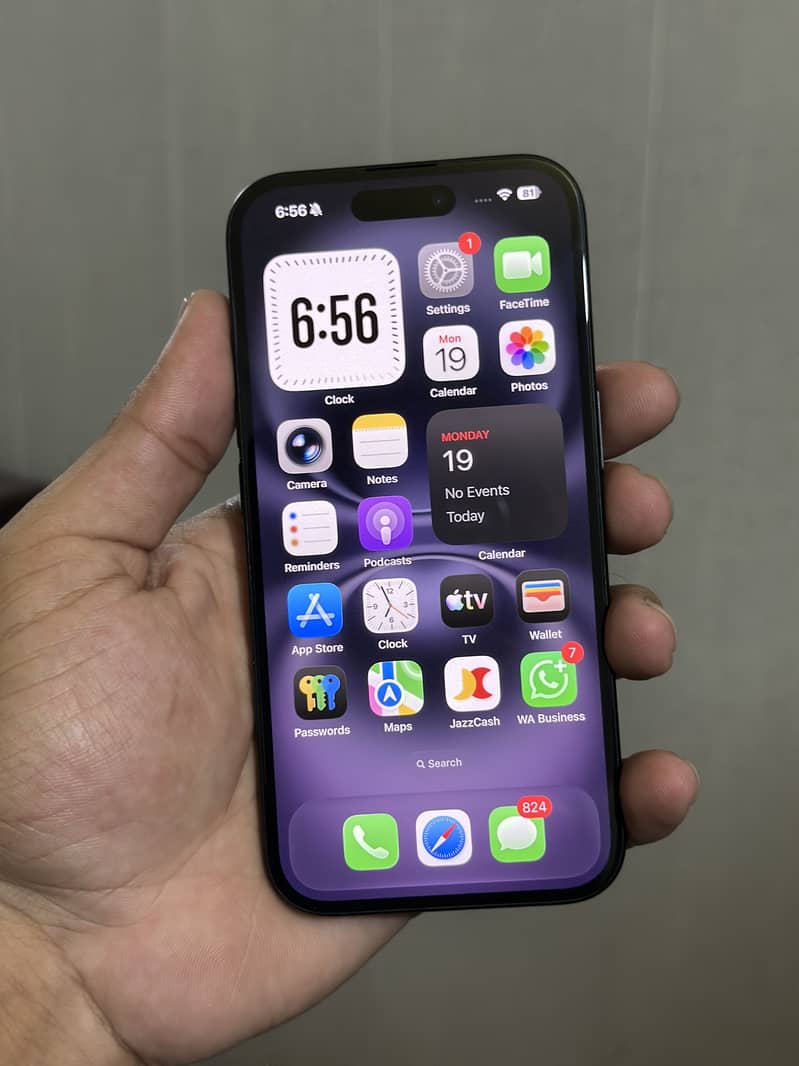 iPhone 5