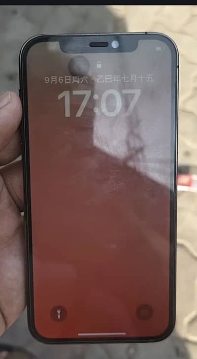 Apple iPhone 12 Pro