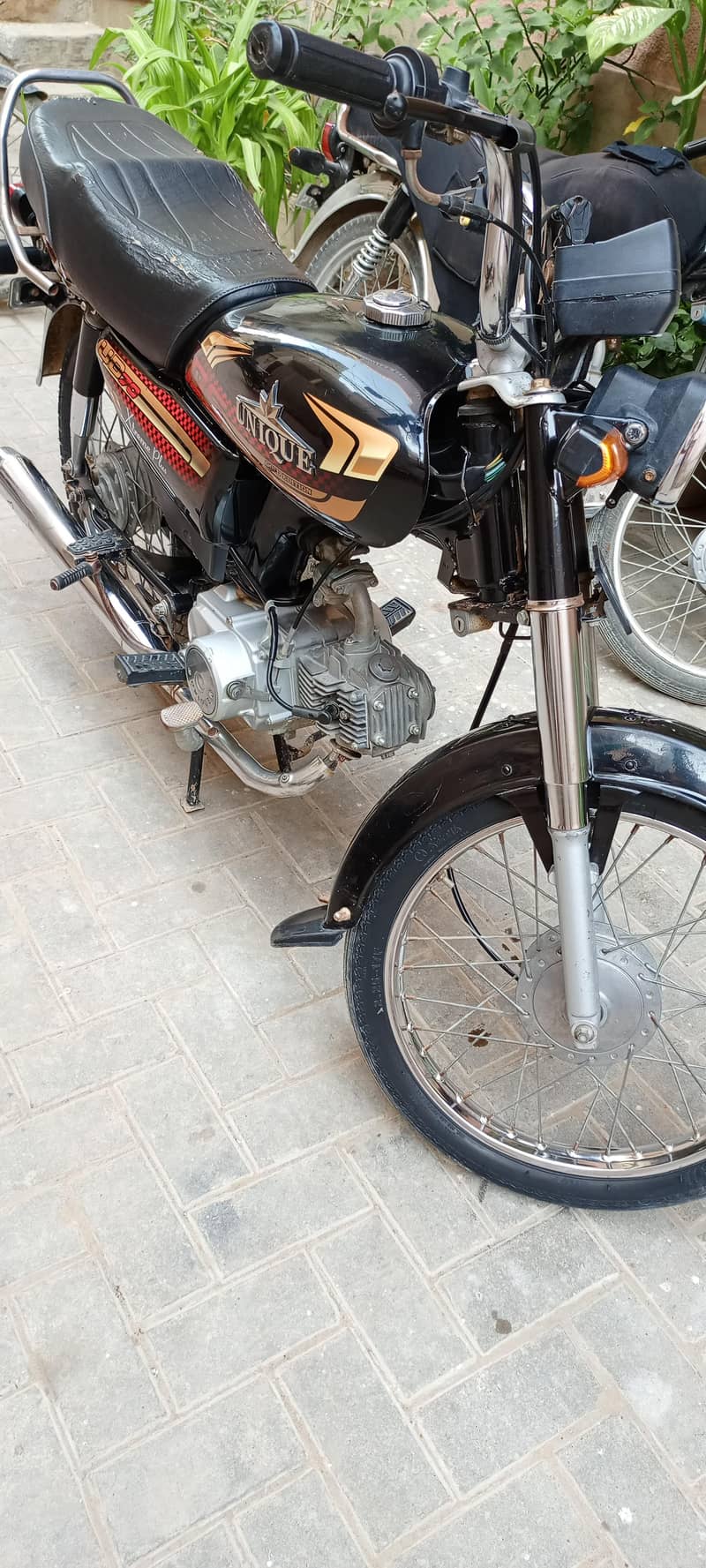 unique Pius 2025 model 1