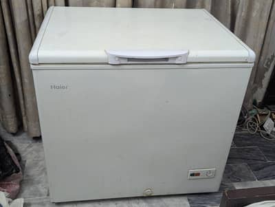 Haier D Freezer