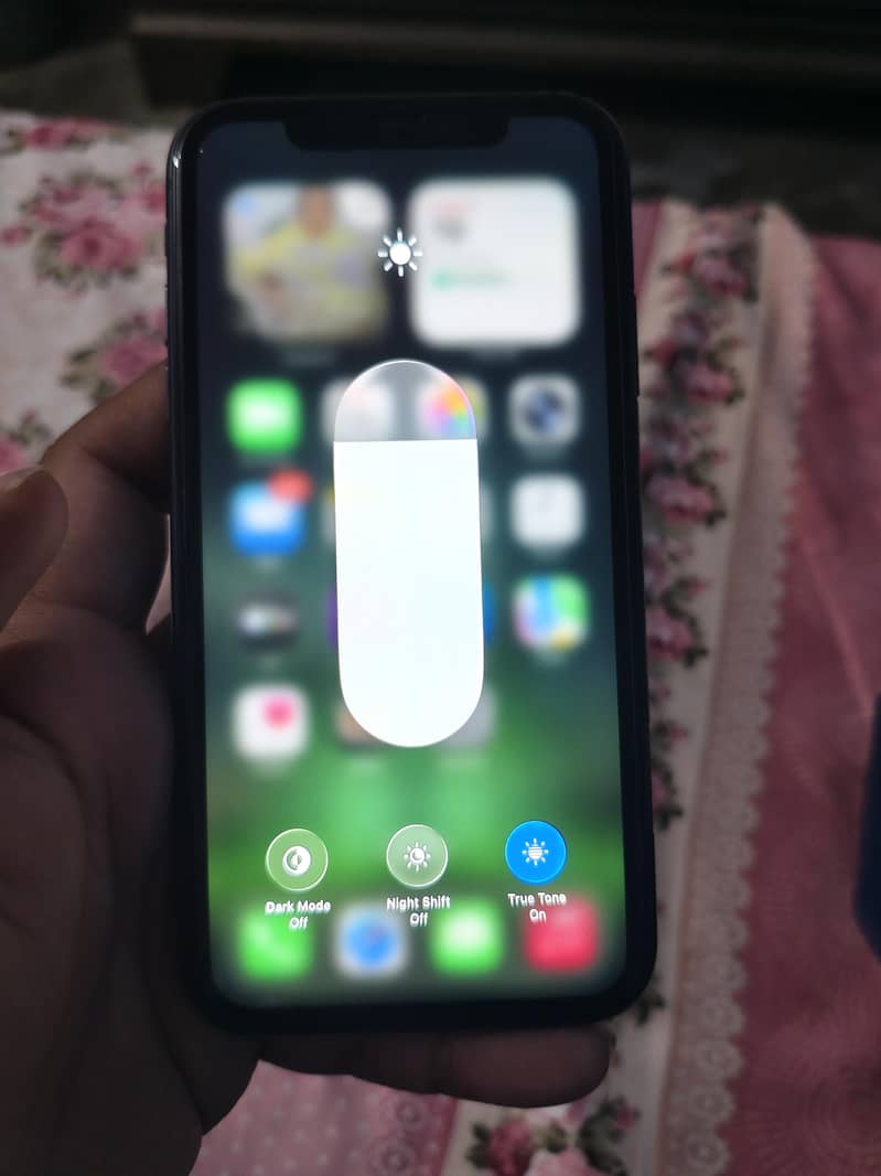Apple iPhone 11 4