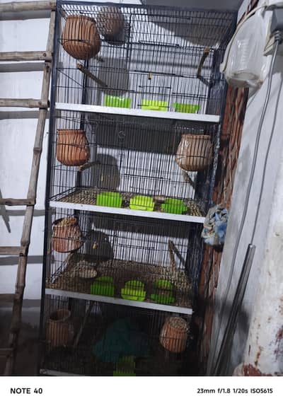 four portion cage. total two cages
