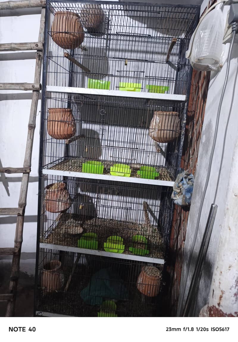 four portion bird cage. two cagee 1