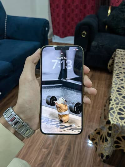 Apple iPhone 13 Pro Max Non PTA factory unlocked