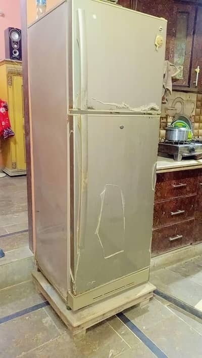Pel fridge Model gng