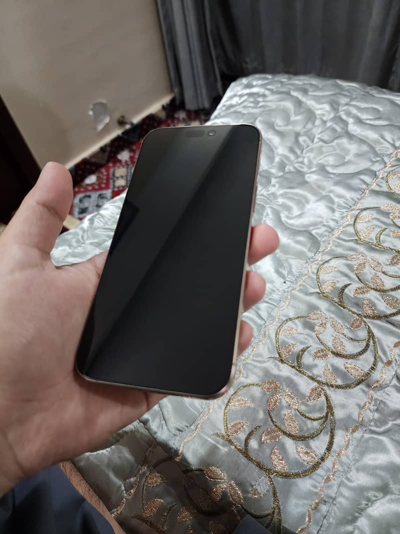 Apple iPhone 16 Pro Max 1