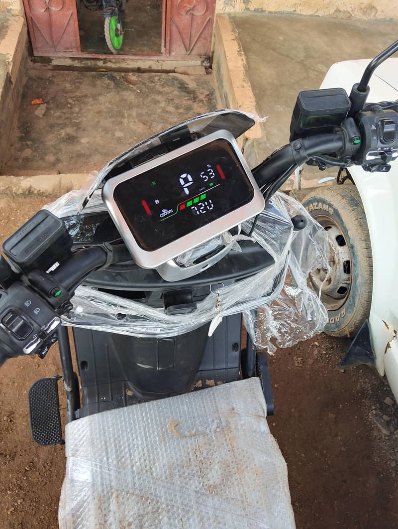 Crown E-bike 1