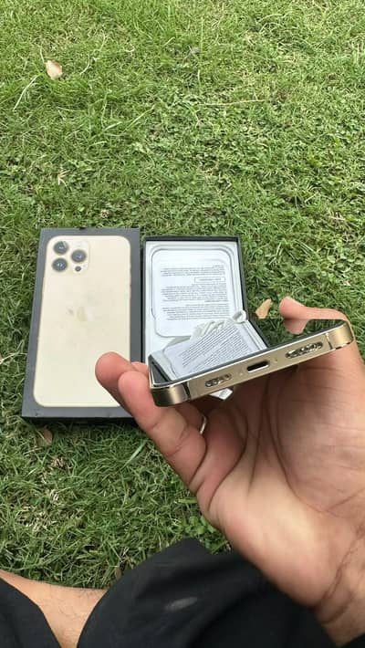 Apple iPhone 13 Pro Max