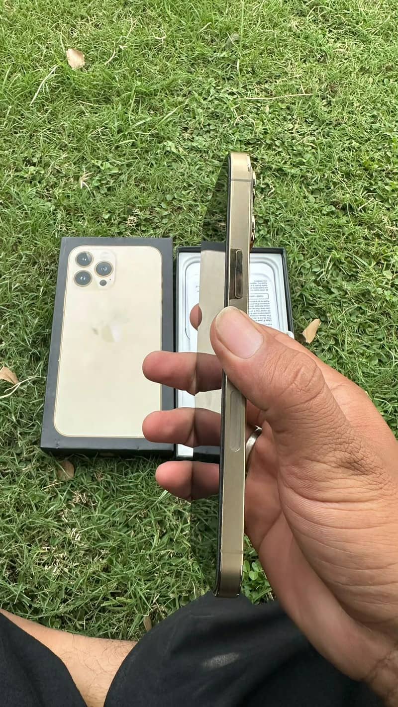 Apple iPhone 13 Pro Max 1