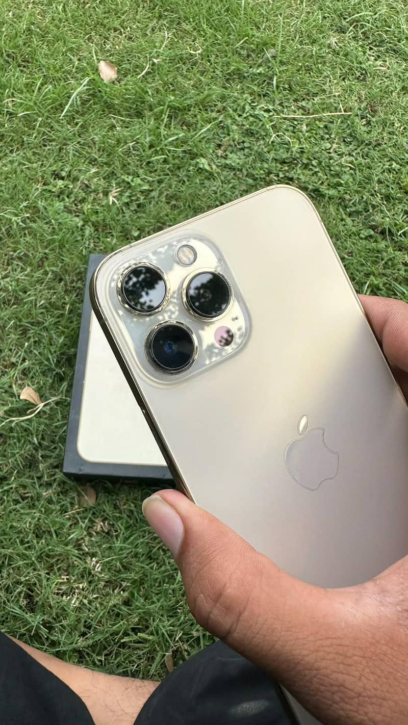 Apple iPhone 13 Pro Max 3