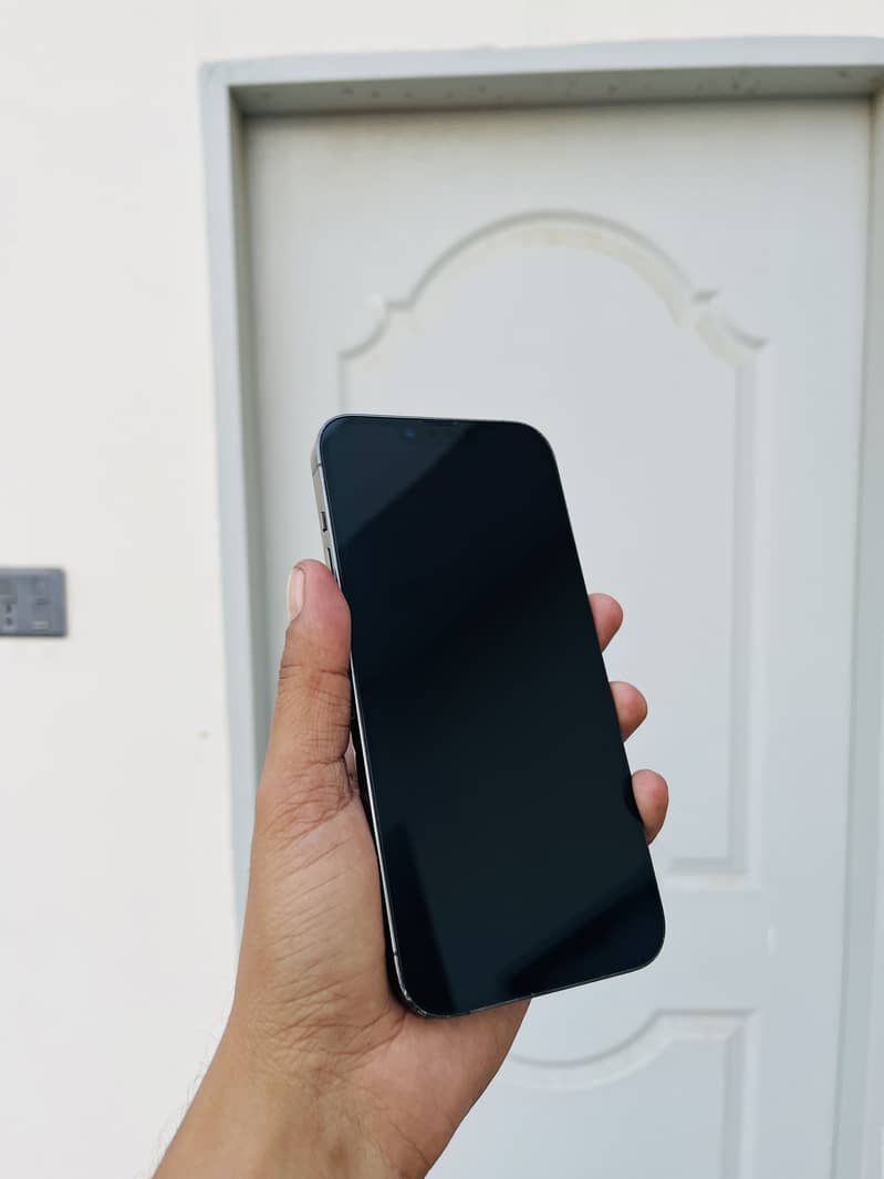 Apple iPhone 13 Pro Max 1