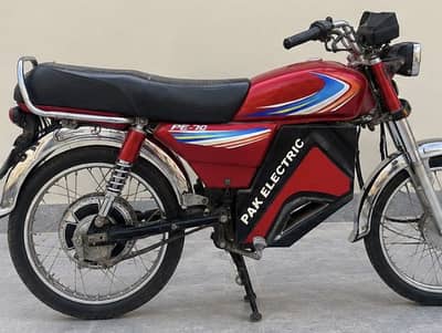Pak electric bike