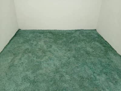 Shaggy fluffy soft carpet