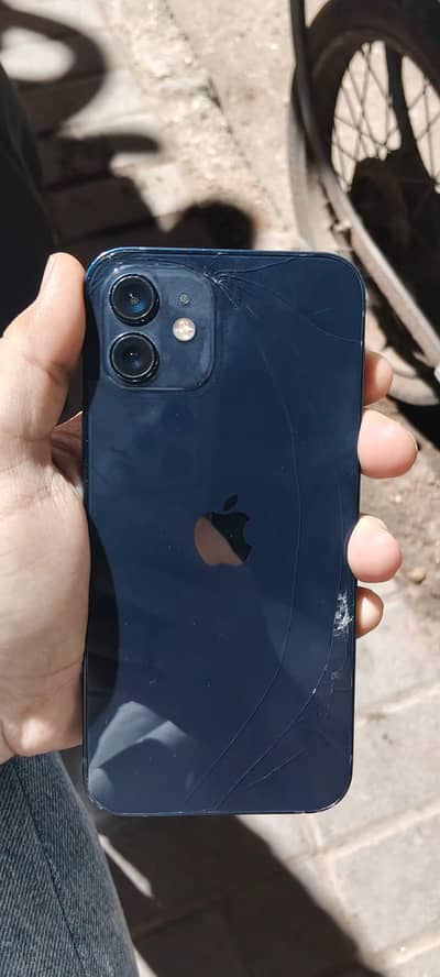 iphone 12 with box